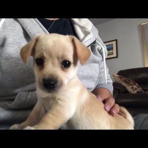 Meet your Posher, Alejandra